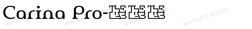 Carina Pro字体转换